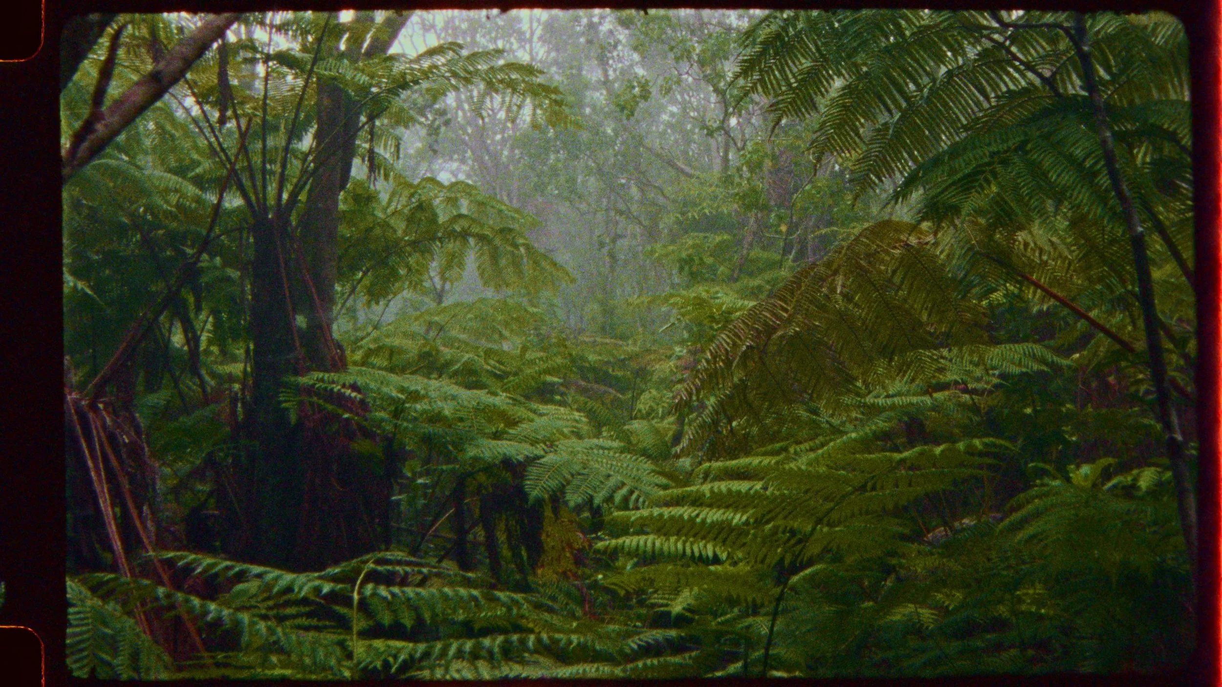 Ho'olono